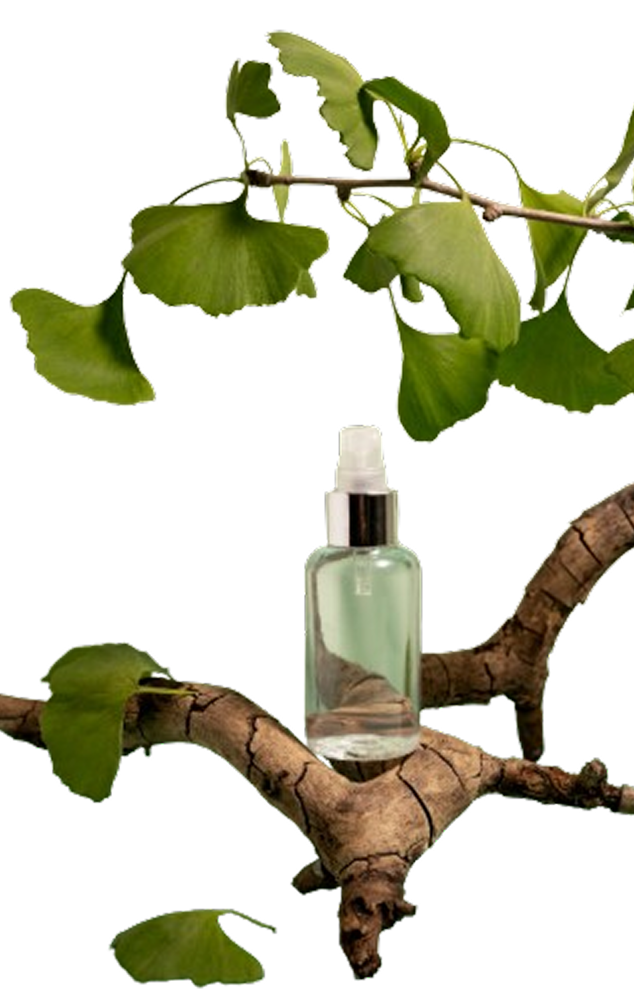 Natural Ingredients